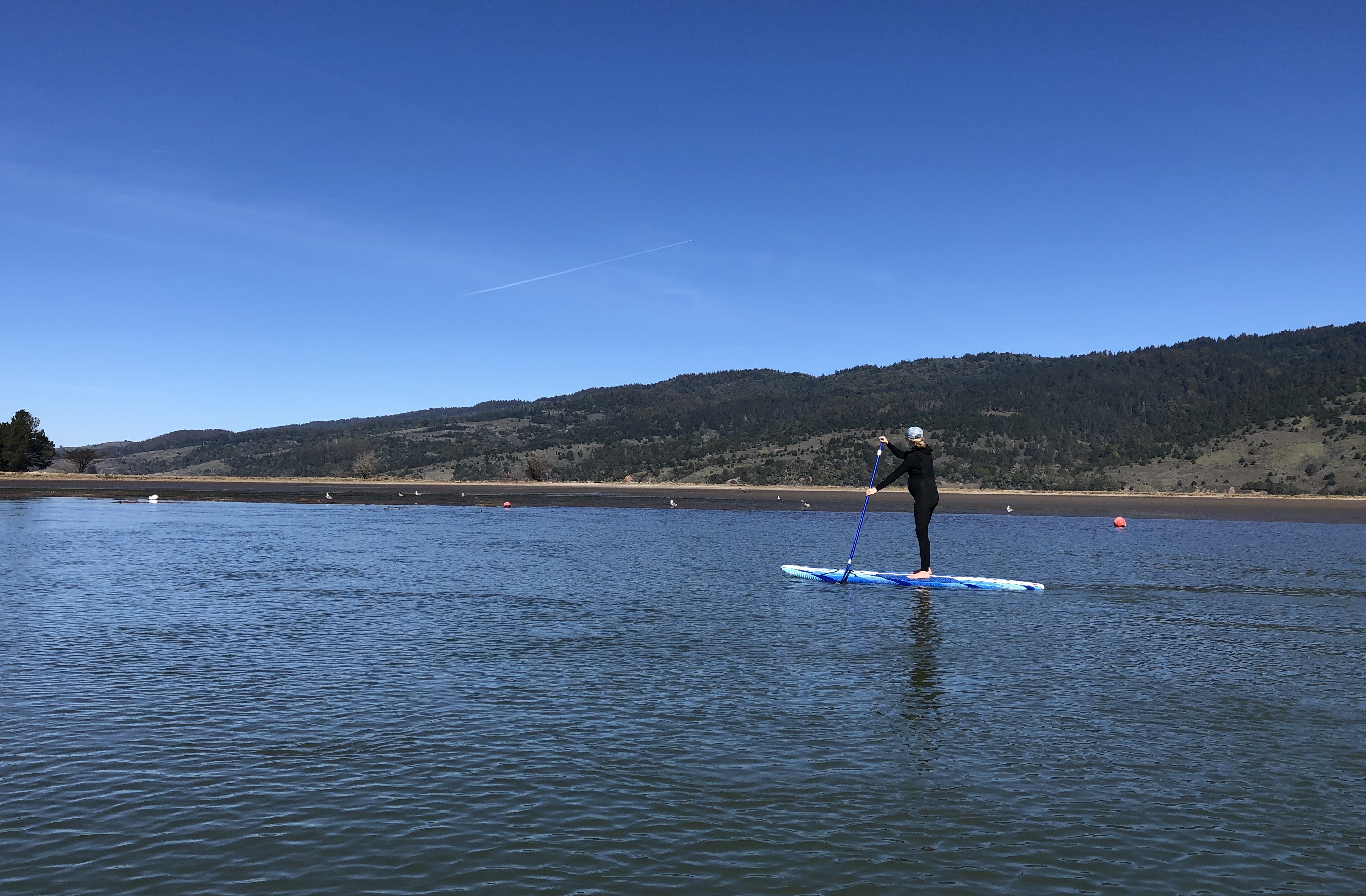 Bolinas Lagoon